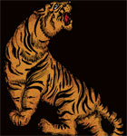 Vector T-shirt Illustration with Tiger